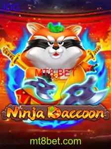 NinjaRaccoon